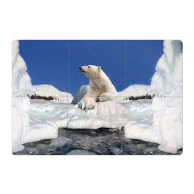 Магнитный плакат 3Х2 с принтом Арктика в Екатеринбурге, Полимерный материал с магнитным слоем | 6 деталей размером 9*9 см | animals | bear | ice | nature | polar bear | power | travel | белый медведь | животные | лёд | медведь | природа | путешествия | сила | снег