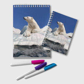 Блокнот с принтом Арктика в Екатеринбурге, 100% бумага | 48 листов, плотность листов — 60 г/м2, плотность картонной обложки — 250 г/м2. Листы скреплены удобной пружинной спиралью. Цвет линий — светло-серый
 | Тематика изображения на принте: animals | bear | ice | nature | polar bear | power | travel | белый медведь | животные | лёд | медведь | природа | путешествия | сила | снег
