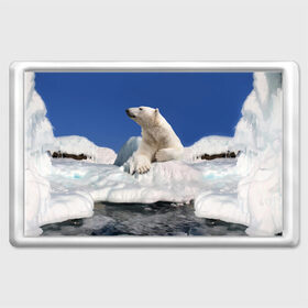 Магнит 45*70 с принтом Арктика в Екатеринбурге, Пластик | Размер: 78*52 мм; Размер печати: 70*45 | animals | bear | ice | nature | polar bear | power | travel | белый медведь | животные | лёд | медведь | природа | путешествия | сила | снег