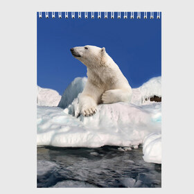 Скетчбук с принтом Арктика в Екатеринбурге, 100% бумага
 | 48 листов, плотность листов — 100 г/м2, плотность картонной обложки — 250 г/м2. Листы скреплены сверху удобной пружинной спиралью | animals | bear | ice | nature | polar bear | power | travel | белый медведь | животные | лёд | медведь | природа | путешествия | сила | снег