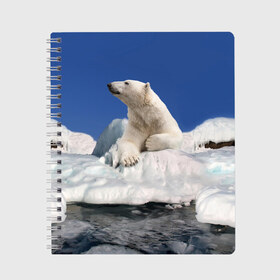 Тетрадь с принтом Арктика в Екатеринбурге, 100% бумага | 48 листов, плотность листов — 60 г/м2, плотность картонной обложки — 250 г/м2. Листы скреплены сбоку удобной пружинной спиралью. Уголки страниц и обложки скругленные. Цвет линий — светло-серый
 | animals | bear | ice | nature | polar bear | power | travel | белый медведь | животные | лёд | медведь | природа | путешествия | сила | снег