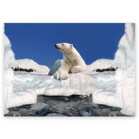 Поздравительная открытка с принтом Арктика в Екатеринбурге, 100% бумага | плотность бумаги 280 г/м2, матовая, на обратной стороне линовка и место для марки
 | animals | bear | ice | nature | polar bear | power | travel | белый медведь | животные | лёд | медведь | природа | путешествия | сила | снег