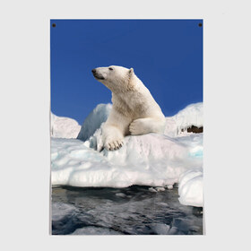 Постер с принтом Арктика в Екатеринбурге, 100% бумага
 | бумага, плотность 150 мг. Матовая, но за счет высокого коэффициента гладкости имеет небольшой блеск и дает на свету блики, но в отличии от глянцевой бумаги не покрыта лаком | animals | bear | ice | nature | polar bear | power | travel | белый медведь | животные | лёд | медведь | природа | путешествия | сила | снег