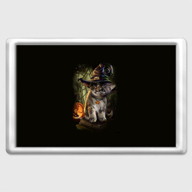 Магнит 45*70 с принтом Ведьмин котенок в Екатеринбурге, Пластик | Размер: 78*52 мм; Размер печати: 70*45 | jack | ведьма | кот | котенок | кошка | тыква | хэллоуин
