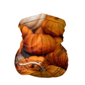 Бандана-труба 3D с принтом тыквы в Екатеринбурге, 100% полиэстер, ткань с особыми свойствами — Activecool | плотность 150‒180 г/м2; хорошо тянется, но сохраняет форму | halloween | дача | овощи | октябрь | оранжевый | осень | сентябрь | тыква | хеллуин