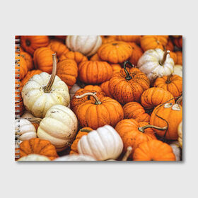 Альбом для рисования с принтом тыквы в Екатеринбурге, 100% бумага
 | матовая бумага, плотность 200 мг. | Тематика изображения на принте: halloween | дача | овощи | октябрь | оранжевый | осень | сентябрь | тыква | хеллуин