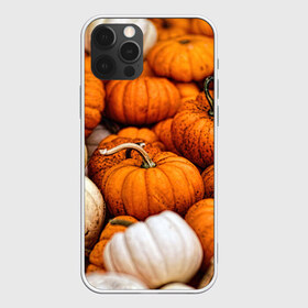 Чехол для iPhone 12 Pro Max с принтом тыквы в Екатеринбурге, Силикон |  | Тематика изображения на принте: halloween | дача | овощи | октябрь | оранжевый | осень | сентябрь | тыква | хеллуин