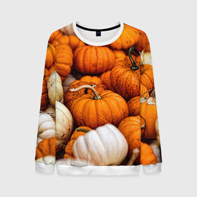 Мужской свитшот 3D с принтом тыквы в Екатеринбурге, 100% полиэстер с мягким внутренним слоем | круглый вырез горловины, мягкая резинка на манжетах и поясе, свободная посадка по фигуре | halloween | дача | овощи | октябрь | оранжевый | осень | сентябрь | тыква | хеллуин