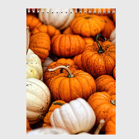 Скетчбук с принтом тыквы в Екатеринбурге, 100% бумага
 | 48 листов, плотность листов — 100 г/м2, плотность картонной обложки — 250 г/м2. Листы скреплены сверху удобной пружинной спиралью | Тематика изображения на принте: halloween | дача | овощи | октябрь | оранжевый | осень | сентябрь | тыква | хеллуин