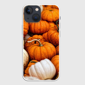 Чехол для iPhone 13 mini с принтом тыквы в Екатеринбурге,  |  | halloween | дача | овощи | октябрь | оранжевый | осень | сентябрь | тыква | хеллуин