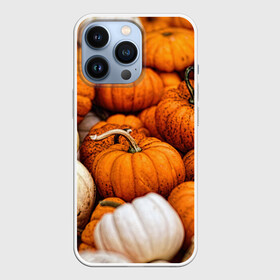 Чехол для iPhone 13 Pro с принтом тыквы в Екатеринбурге,  |  | halloween | дача | овощи | октябрь | оранжевый | осень | сентябрь | тыква | хеллуин