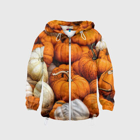 Детская ветровка 3D с принтом тыквы в Екатеринбурге, 100% полиэстер | подол и капюшон оформлены резинкой с фиксаторами, по бокам два кармана без застежек, один потайной карман на груди | halloween | дача | овощи | октябрь | оранжевый | осень | сентябрь | тыква | хеллуин