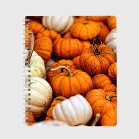 Тетрадь с принтом тыквы в Екатеринбурге, 100% бумага | 48 листов, плотность листов — 60 г/м2, плотность картонной обложки — 250 г/м2. Листы скреплены сбоку удобной пружинной спиралью. Уголки страниц и обложки скругленные. Цвет линий — светло-серый
 | Тематика изображения на принте: halloween | дача | овощи | октябрь | оранжевый | осень | сентябрь | тыква | хеллуин