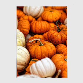 Постер с принтом тыквы в Екатеринбурге, 100% бумага
 | бумага, плотность 150 мг. Матовая, но за счет высокого коэффициента гладкости имеет небольшой блеск и дает на свету блики, но в отличии от глянцевой бумаги не покрыта лаком | halloween | дача | овощи | октябрь | оранжевый | осень | сентябрь | тыква | хеллуин