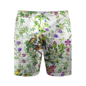 Мужские шорты 3D спортивные с принтом Райский остров в Екатеринбурге,  |  | арт | краска | попугаи | попугай | прикольные | рай | тропики | цветные | цветок | цветы