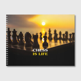 Альбом для рисования с принтом Шахматы - это жизнь в Екатеринбурге, 100% бумага
 | матовая бумага, плотность 200 мг. | chess | game | sport | гроссмейстер | закат | игра | интеллект | солнце | спорт | фигура | шахматист | шахматы