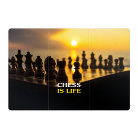 Магнитный плакат 3Х2 с принтом Шахматы - это жизнь в Екатеринбурге, Полимерный материал с магнитным слоем | 6 деталей размером 9*9 см | Тематика изображения на принте: chess | game | sport | гроссмейстер | закат | игра | интеллект | солнце | спорт | фигура | шахматист | шахматы