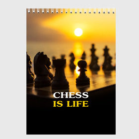 Скетчбук с принтом Шахматы - это жизнь в Екатеринбурге, 100% бумага
 | 48 листов, плотность листов — 100 г/м2, плотность картонной обложки — 250 г/м2. Листы скреплены сверху удобной пружинной спиралью | chess | game | sport | гроссмейстер | закат | игра | интеллект | солнце | спорт | фигура | шахматист | шахматы
