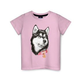 Детская футболка хлопок с принтом Маламут в Екатеринбурге, 100% хлопок | круглый вырез горловины, полуприлегающий силуэт, длина до линии бедер | Тематика изображения на принте: аляска | карандаш | маламут | рисунок | собака | хаски