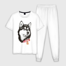 Мужская пижама хлопок с принтом Маламут в Екатеринбурге, 100% хлопок | брюки и футболка прямого кроя, без карманов, на брюках мягкая резинка на поясе и по низу штанин
 | Тематика изображения на принте: аляска | карандаш | маламут | рисунок | собака | хаски