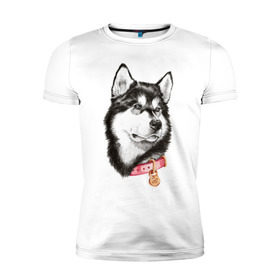 Мужская футболка премиум с принтом Маламут в Екатеринбурге, 92% хлопок, 8% лайкра | приталенный силуэт, круглый вырез ворота, длина до линии бедра, короткий рукав | аляска | карандаш | маламут | рисунок | собака | хаски