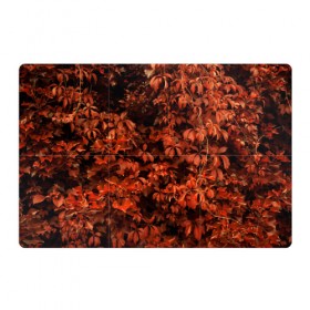 Магнитный плакат 3Х2 с принтом осенние листья в Екатеринбурге, Полимерный материал с магнитным слоем | 6 деталей размером 9*9 см | 