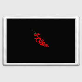Магнит 45*70 с принтом Red Hot Chili Peppers в Екатеринбурге, Пластик | Размер: 78*52 мм; Размер печати: 70*45 | музыка | овощ | острый | пеперс | перчик | ред | рок | хот | чили