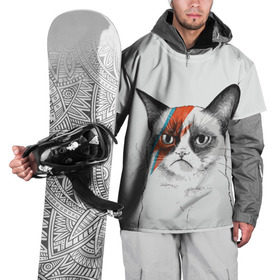 Накидка на куртку 3D с принтом Grumpy cat (David Bowie) в Екатеринбурге, 100% полиэстер |  | Тематика изображения на принте: бодиарт | грумпи | дэвид боуи | злой кот | интернет | котей | котик | кошка | мем | мемас | мемчик. | молния на лице | рисунок на лице | сердитый