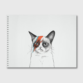 Альбом для рисования с принтом Grumpy cat (David Bowie) в Екатеринбурге, 100% бумага
 | матовая бумага, плотность 200 мг. | бодиарт | грумпи | дэвид боуи | злой кот | интернет | котей | котик | кошка | мем | мемас | мемчик. | молния на лице | рисунок на лице | сердитый