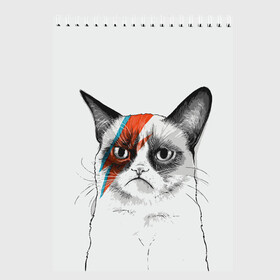 Скетчбук с принтом Grumpy cat (David Bowie) в Екатеринбурге, 100% бумага
 | 48 листов, плотность листов — 100 г/м2, плотность картонной обложки — 250 г/м2. Листы скреплены сверху удобной пружинной спиралью | бодиарт | грумпи | дэвид боуи | злой кот | интернет | котей | котик | кошка | мем | мемас | мемчик. | молния на лице | рисунок на лице | сердитый