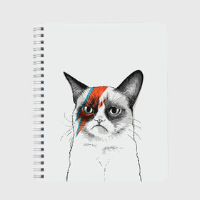 Тетрадь с принтом Grumpy cat (David Bowie) в Екатеринбурге, 100% бумага | 48 листов, плотность листов — 60 г/м2, плотность картонной обложки — 250 г/м2. Листы скреплены сбоку удобной пружинной спиралью. Уголки страниц и обложки скругленные. Цвет линий — светло-серый
 | Тематика изображения на принте: бодиарт | грумпи | дэвид боуи | злой кот | интернет | котей | котик | кошка | мем | мемас | мемчик. | молния на лице | рисунок на лице | сердитый