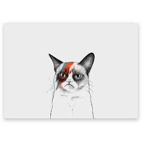 Поздравительная открытка с принтом Grumpy cat (David Bowie) в Екатеринбурге, 100% бумага | плотность бумаги 280 г/м2, матовая, на обратной стороне линовка и место для марки
 | Тематика изображения на принте: бодиарт | грумпи | дэвид боуи | злой кот | интернет | котей | котик | кошка | мем | мемас | мемчик. | молния на лице | рисунок на лице | сердитый