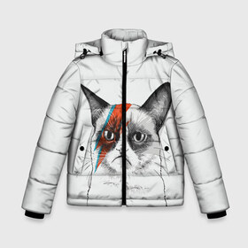 Зимняя куртка для мальчиков 3D с принтом Grumpy cat (David Bowie) в Екатеринбурге, ткань верха — 100% полиэстер; подклад — 100% полиэстер, утеплитель — 100% полиэстер | длина ниже бедра, удлиненная спинка, воротник стойка и отстегивающийся капюшон. Есть боковые карманы с листочкой на кнопках, утяжки по низу изделия и внутренний карман на молнии. 

Предусмотрены светоотражающий принт на спинке, радужный светоотражающий элемент на пуллере молнии и на резинке для утяжки | Тематика изображения на принте: бодиарт | грумпи | дэвид боуи | злой кот | интернет | котей | котик | кошка | мем | мемас | мемчик. | молния на лице | рисунок на лице | сердитый