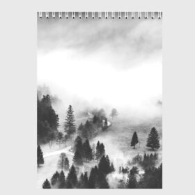 Скетчбук с принтом Лес и туман в Екатеринбурге, 100% бумага
 | 48 листов, плотность листов — 100 г/м2, плотность картонной обложки — 250 г/м2. Листы скреплены сверху удобной пружинной спиралью | black and white | лес | лес и туман | туман | чернобелый  фон | чернобелый лес
