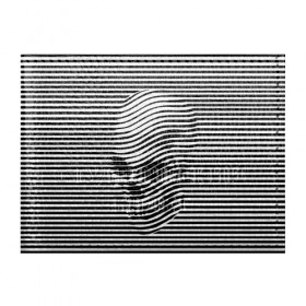 Обложка для студенческого билета с принтом Череп в Екатеринбурге, натуральная кожа | Размер: 11*8 см; Печать на всей внешней стороне | art | optical | skull | stripes | vest | искусство | оптическое | полосы | тельняшка | череп