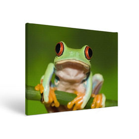 Холст прямоугольный с принтом Лягушка в Екатеринбурге, 100% ПВХ |  | Тематика изображения на принте: frog | жаба | животные | зеленый | ква | лягуха | лягушка | лягушонок