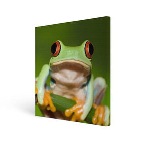 Холст квадратный с принтом Лягушка в Екатеринбурге, 100% ПВХ |  | Тематика изображения на принте: frog | жаба | животные | зеленый | ква | лягуха | лягушка | лягушонок