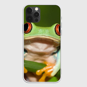 Чехол для iPhone 12 Pro Max с принтом Лягушка в Екатеринбурге, Силикон |  | frog | жаба | животные | зеленый | ква | лягуха | лягушка | лягушонок