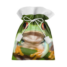 Подарочный 3D мешок с принтом Лягушка в Екатеринбурге, 100% полиэстер | Размер: 29*39 см | Тематика изображения на принте: frog | жаба | животные | зеленый | ква | лягуха | лягушка | лягушонок