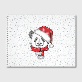 Альбом для рисования с принтом Панда Санта в Екатеринбурге, 100% бумага
 | матовая бумага, плотность 200 мг. | Тематика изображения на принте: дед мороз | зима | медведь | праздник | рождество | санта клаус | снег | шапка | шарф