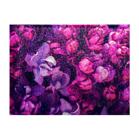 Обложка для студенческого билета с принтом цветы в Екатеринбурге, натуральная кожа | Размер: 11*8 см; Печать на всей внешней стороне | Тематика изображения на принте: botany | bouquet | flowers | fuchsia | leaves | magnolia | peony | pink | vintage | ботаника | букет | винтаж | листья | магнолия | пион | розовый | фуксия | цветы