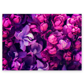 Поздравительная открытка с принтом цветы в Екатеринбурге, 100% бумага | плотность бумаги 280 г/м2, матовая, на обратной стороне линовка и место для марки
 | Тематика изображения на принте: botany | bouquet | flowers | fuchsia | leaves | magnolia | peony | pink | vintage | ботаника | букет | винтаж | листья | магнолия | пион | розовый | фуксия | цветы