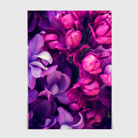 Постер с принтом цветы в Екатеринбурге, 100% бумага
 | бумага, плотность 150 мг. Матовая, но за счет высокого коэффициента гладкости имеет небольшой блеск и дает на свету блики, но в отличии от глянцевой бумаги не покрыта лаком | Тематика изображения на принте: botany | bouquet | flowers | fuchsia | leaves | magnolia | peony | pink | vintage | ботаника | букет | винтаж | листья | магнолия | пион | розовый | фуксия | цветы