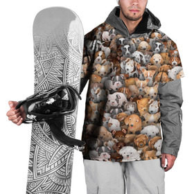 Накидка на куртку 3D с принтом Щенки в Екатеринбурге, 100% полиэстер |  | Тематика изображения на принте: бультерьер | корги | мопс | паттерн | пес | питбуль | породы | собака | собачка | хаски | щенок