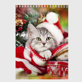 Скетчбук с принтом Новогодний котик в Екатеринбурге, 100% бумага
 | 48 листов, плотность листов — 100 г/м2, плотность картонной обложки — 250 г/м2. Листы скреплены сверху удобной пружинной спиралью | елка | зима | кот | котейка | кошка | мороз | новый год | снег