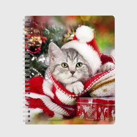 Тетрадь с принтом Новогодний котик в Екатеринбурге, 100% бумага | 48 листов, плотность листов — 60 г/м2, плотность картонной обложки — 250 г/м2. Листы скреплены сбоку удобной пружинной спиралью. Уголки страниц и обложки скругленные. Цвет линий — светло-серый
 | елка | зима | кот | котейка | кошка | мороз | новый год | снег