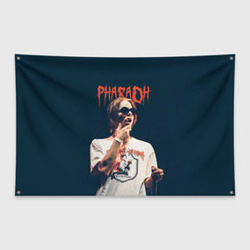 Флаг-баннер с принтом Фара в Екатеринбурге, 100% полиэстер | размер 67 х 109 см, плотность ткани — 95 г/м2; по краям флага есть четыре люверса для крепления | dead dynasty | pharaoh | pink phloyd | мертвая династия | фараон