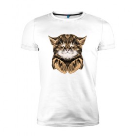 Мужская футболка премиум с принтом Котёнок в Екатеринбурге, 92% хлопок, 8% лайкра | приталенный силуэт, круглый вырез ворота, длина до линии бедра, короткий рукав | cat | животные | киса | кот | котенок | котик | кошка | сон | спит