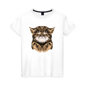 Женская футболка хлопок с принтом Котёнок в Екатеринбурге, 100% хлопок | прямой крой, круглый вырез горловины, длина до линии бедер, слегка спущенное плечо | cat | животные | киса | кот | котенок | котик | кошка | сон | спит
