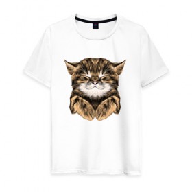Мужская футболка хлопок с принтом Котёнок в Екатеринбурге, 100% хлопок | прямой крой, круглый вырез горловины, длина до линии бедер, слегка спущенное плечо. | cat | животные | киса | кот | котенок | котик | кошка | сон | спит